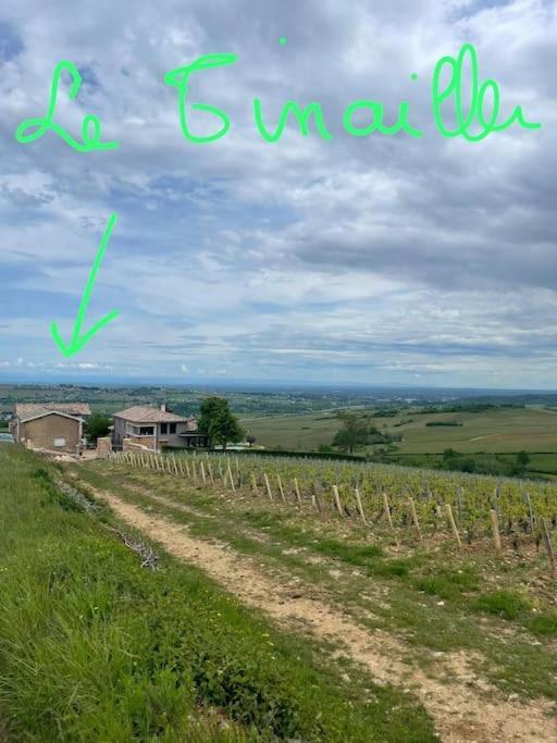 Le Tinailler Grand Standing Au Coeur Des Vignes Villa Prissé Eksteriør bilde