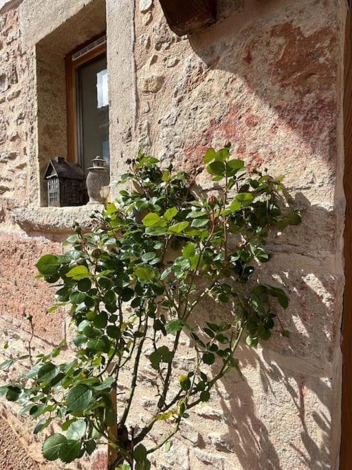 Le Tinailler Grand Standing Au Coeur Des Vignes Villa Prissé Eksteriør bilde