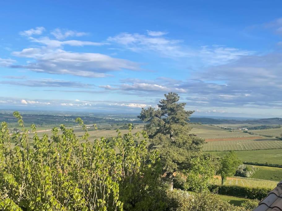 Le Tinailler Grand Standing Au Coeur Des Vignes Villa Prissé Eksteriør bilde