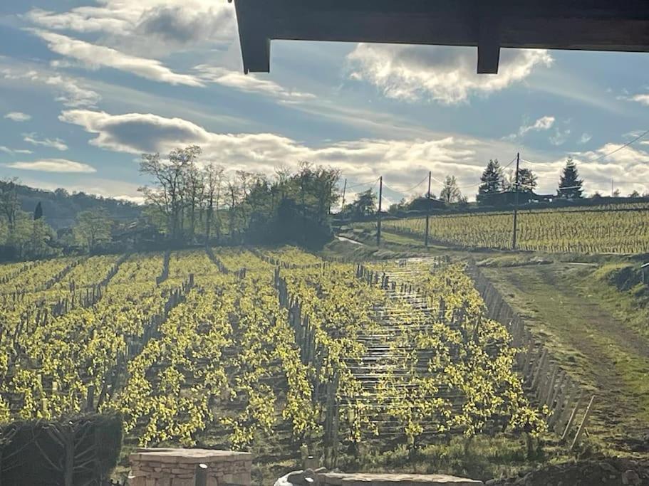 Le Tinailler Grand Standing Au Coeur Des Vignes Villa Prissé Eksteriør bilde