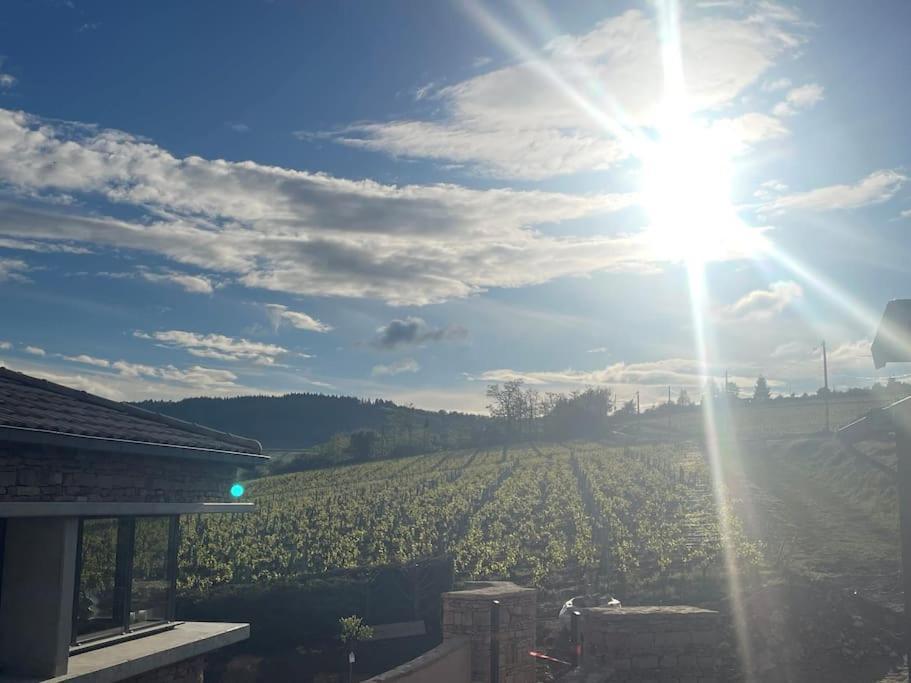 Le Tinailler Grand Standing Au Coeur Des Vignes Villa Prissé Eksteriør bilde